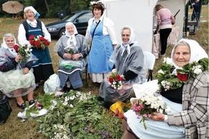 Vaistažolės su šuns plaukais: senovės žolininkių gudrybės