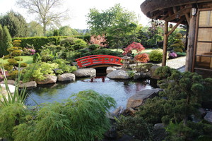 Dzūko sodai stebina net visko mačiusius aplinkos dizainerius