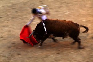 Ispanijoje buliai mirtinai subadė septynis žmones