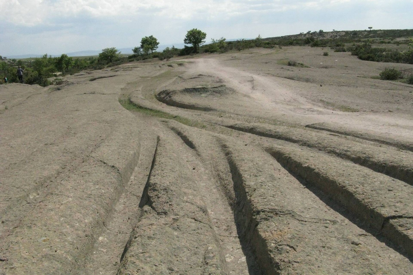 Geologas iš Rusijos įsitikinęs, kad šias vėžes įspaudė prieš 14 mln. metų žeme važinėjusios visureigės transporto priemonės.<br>A.Koltypino nuotr.