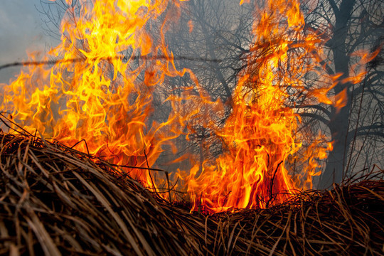 Piktadariai pleškino ir pastatus, ir šieną