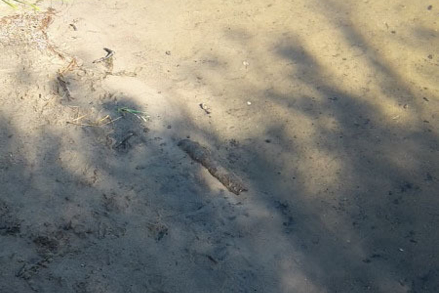 Kudirkos Naumiesčio pasieniečiai saugojo pavojingą sprogmenį.