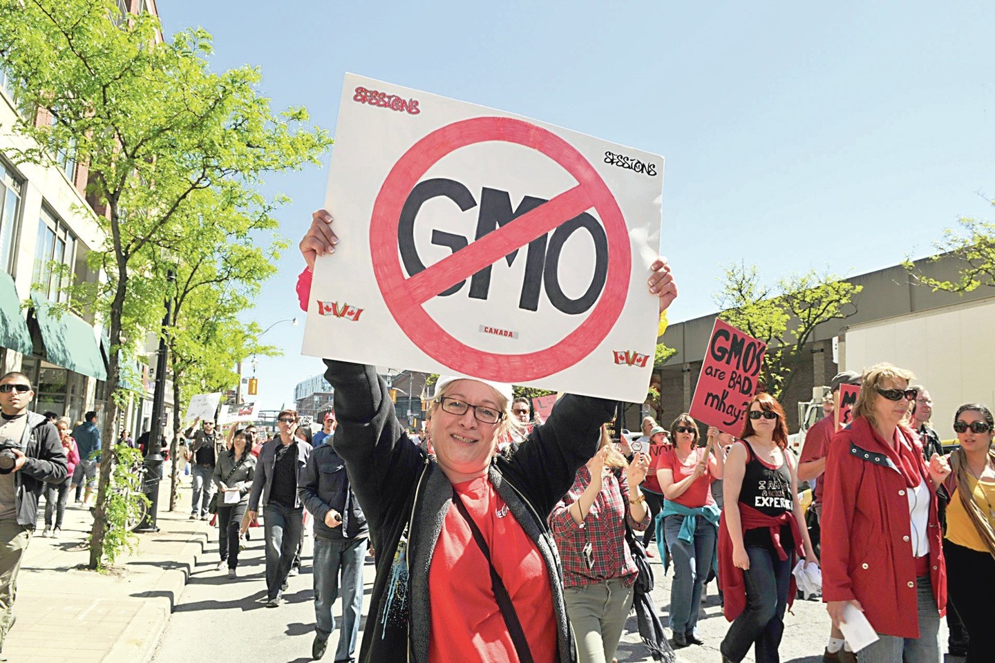 Daugelyje pasaulio šalių vyksta protestai prieš GMO vartojimą maistui. Tiesa, kai kurių kultūrų, pavyzdžiui, sojų pupelių, prie kurių nagus yra prikišę genų inžinieriai, užsienyje auginama itin daug.
