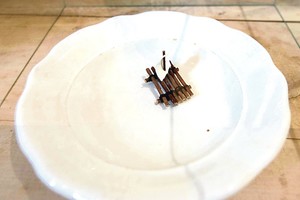 Nesąmonių muziejaus eksponatai priverčia griebtis už pilvų