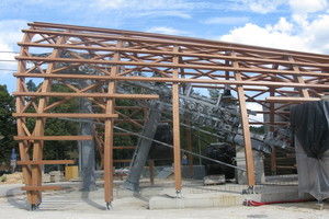 Brangios gondolos nepritaikytos lietuviškam miškui?