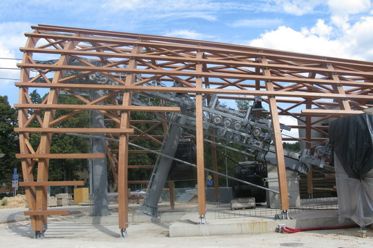 Brangios gondolos nepritaikytos lietuviškam miškui?