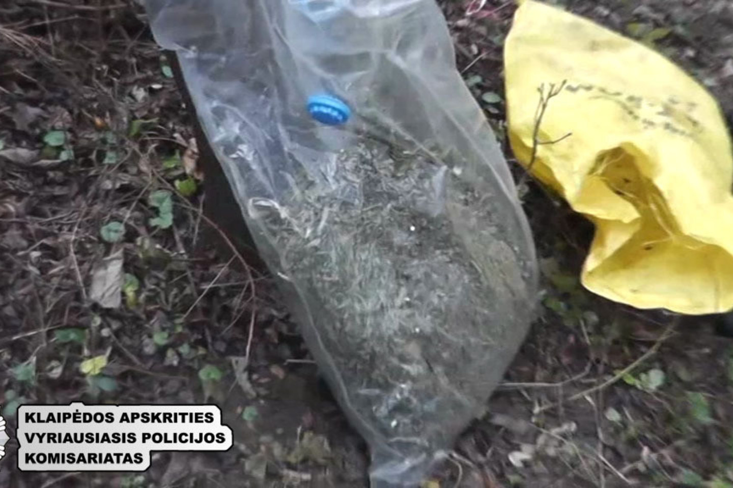 Narkotikus slėpė eglyne, o platino prie kolegijos bendrabučio Klaipėdoje.