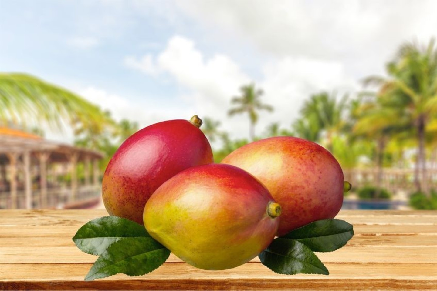 Pasaulyje galima rasti daugiau nei 100 mango vaisiaus rūšių, o jį užauginti trunka net apie 140 dienų.<br>123rf nuotr.