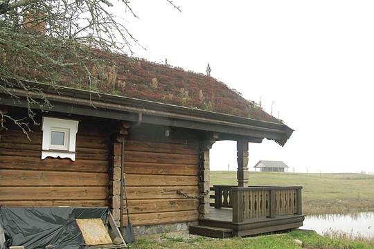 Lietuviai vis dažniau renkasi žaliuojančius ir žydinčius stogus