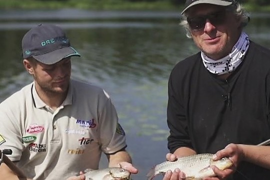 Patarimai, kaip žvejoti karosus Nemune (I)
