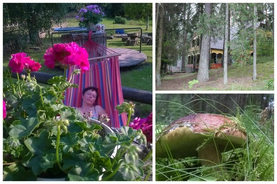 Europą išmaišęs vyras rado fantastišką vietą poilsiui Lietuvoje
