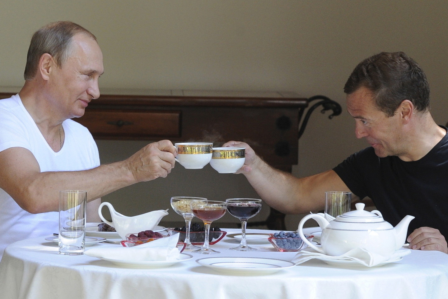 V.Putinas kartu su D.Medvedevu mėgavosi popiete.<br>AFP/Scanpix nuotr.