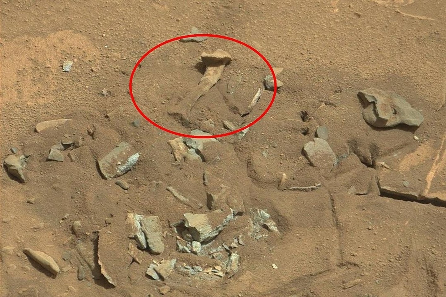 Ateivių medžiotojų pastebėtas šlaunikaulis Marse.<br>NASA nuotr.