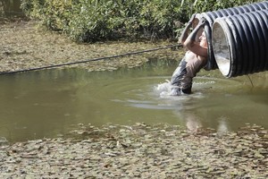 Kas per naujos sporto žaidynės „My Hero“ ?
