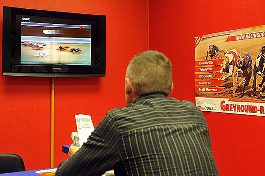 Valdžia gelbės parduotų rungtynių žlugdomą Lietuvos sportą