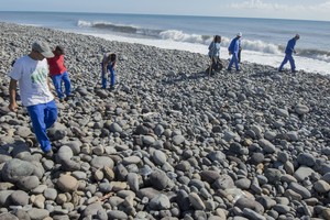 Reunjono paplūdimyje rasta dalis – dingusio Malaizijos lėktuvo