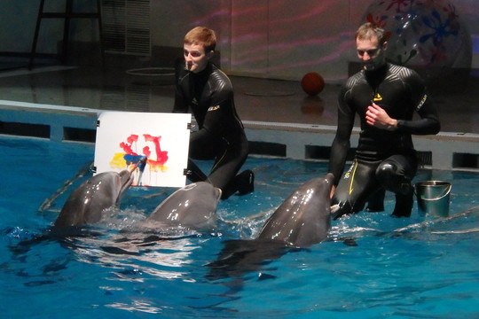 Po rekonstrukcijos – geriau ir delfinams, ir neįgaliems vaikams