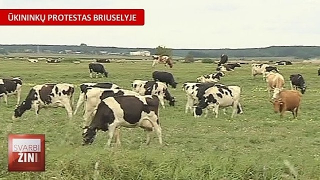 Briuselyje ir vėl protestuoja Lietuvos ūkininkai