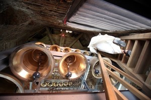 Varpininkas G. Kuprevičius dėl kariljono nesikels į Vilnių