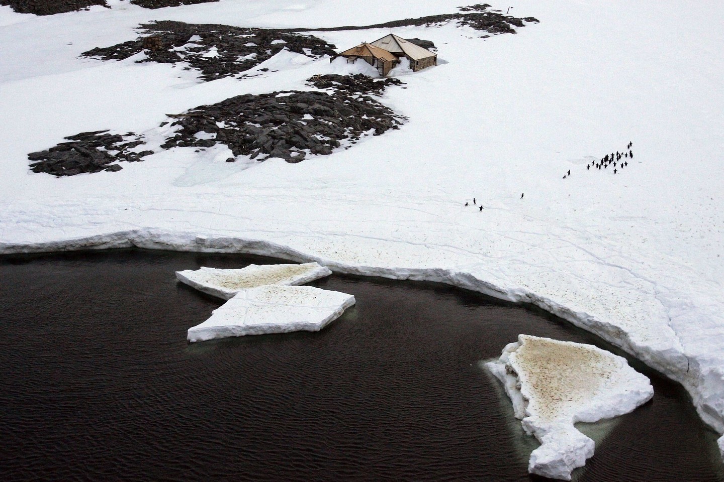 Net jei atmosferoje būtų mažiau anglies dvideginio, grėstų ilgalaikiai klimato pokyčiai, dėl kurių tirptų Antarktidos ledynai ir kiltų pasaulinio vandenyno lygis.<br>Reuters/Scanpix nuotr.