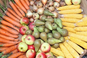 Maisto apdorojimo ateitis – jokių atliekų ir terminio poveikio