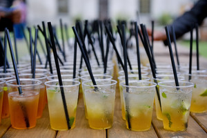 Blaivios įžymybių šventės dalyvis išdavė, kas ten vyko iš tiesų