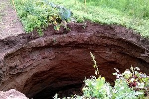 Siuntė vyrą kopūstų – nuėjęs į daržą nepatikėjo savo akimis