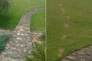 Vyras nutirpo – pėdsakai jo kieme tikrai ne žmogaus