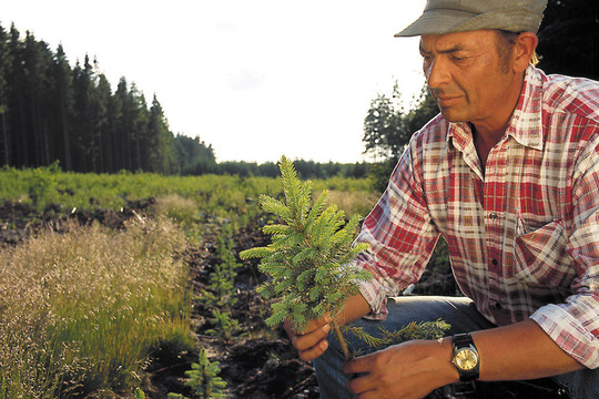 Mūsų verslas – tvarumas ir darna