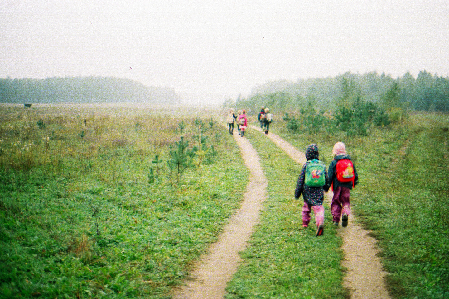 Valdorfo Žaliosios mokyklos mokiniams kiekvieną ankstų rytą laukais ir pievomis keliauja į mokyklą.<br>D.Pažusytės nuotr.