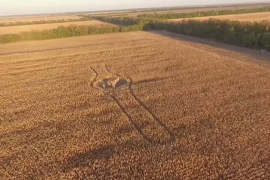 Bepilotė skraidyklė kukurūzų lauke nufilmavo mįslingą vaizdą