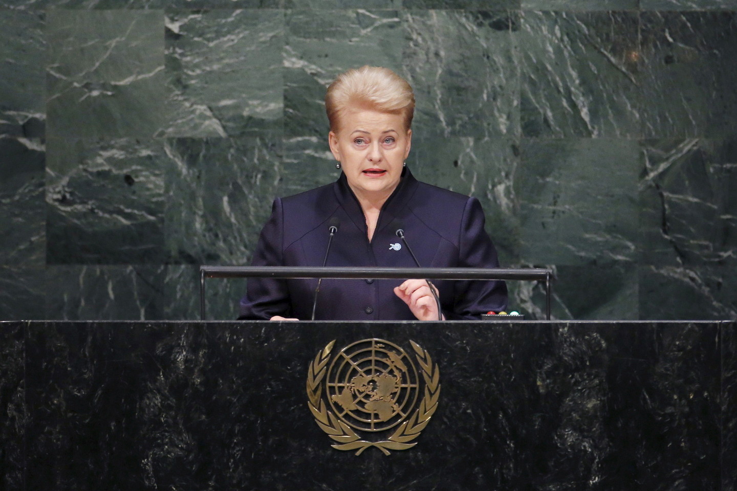 D.Grybauskaitė kalba iš JT Generalinės Asamblėjos tribūnos.