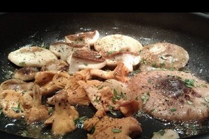 Geriausi grybautojų receptai – ir kasdienai, ir šventėms