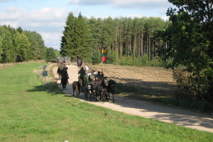 Sunkumai negąsdina aplink Lietuvą žemaitukais jojančių žygeivių