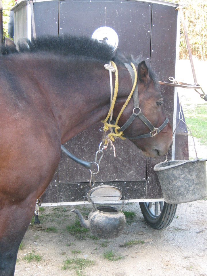 Sustoję poilsio raiteliai pirmiausia pasirūpina žirgais.<br>L.Juodzevičienės nuotr.