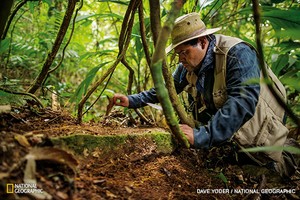 Neįžengiamose džiunglėse rado senovinį miestą