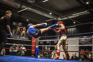 K-1 pasaulio mėgėjų čempionate Vilniuje triumfavo lietuviai