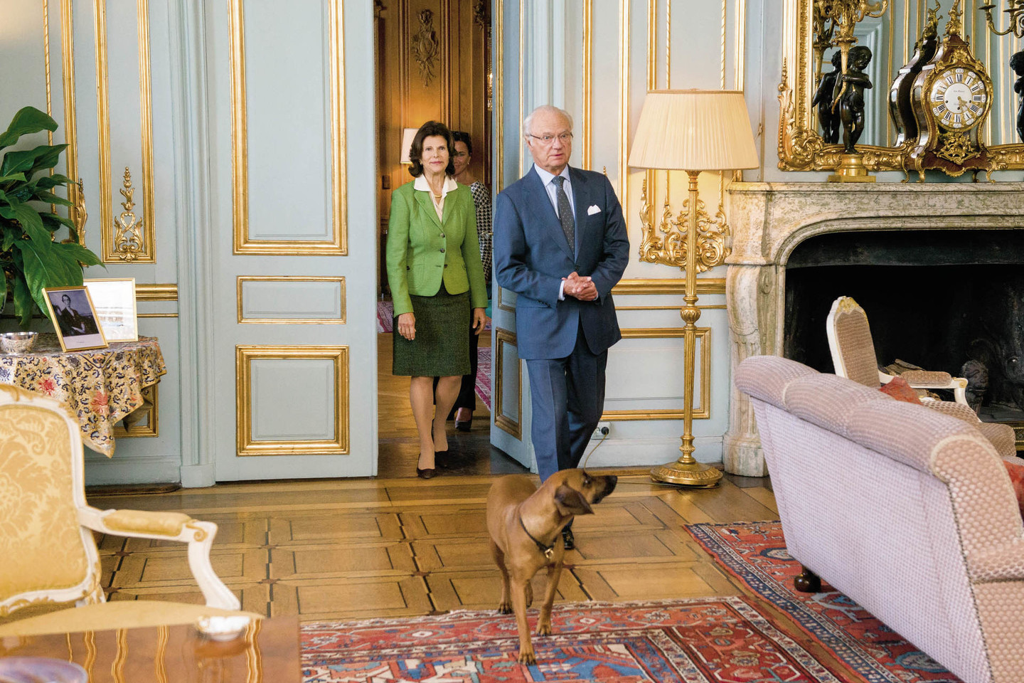 Švedijos karaliaus Carlo XVI Gustafo ir karalienės Silvios šuo Brandy – su savo šeimininkais ir namuose, ir viešumoje.<br>J.Stacevičiaus nuotr.