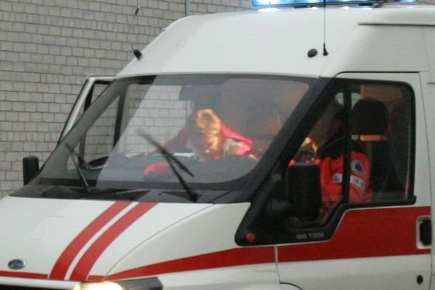 Mušeikoms prireikė medikų pagalbos.