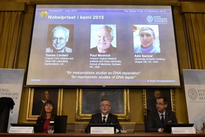 Nobelio chemijos premija pagerbti DNR tyrėjai