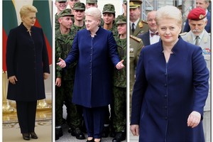 Dalia Grybauskaitė karalių vizitui pasirinko mėgstamą kostiumėlį