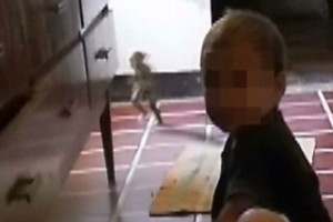 Mama nufilmavo keistą padarą, bėgiojantį apie jos vaiką