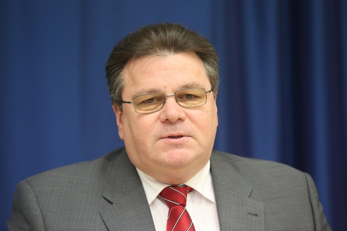 L.Linkevičius: „Manyti, kad mes kažką blogai darome ir todėl tie santykiai blogi, būtų neteisinga“.