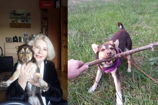 Aktorė Vaiva Mainelytė turi naują draugę – mėlynakę Kaštonę