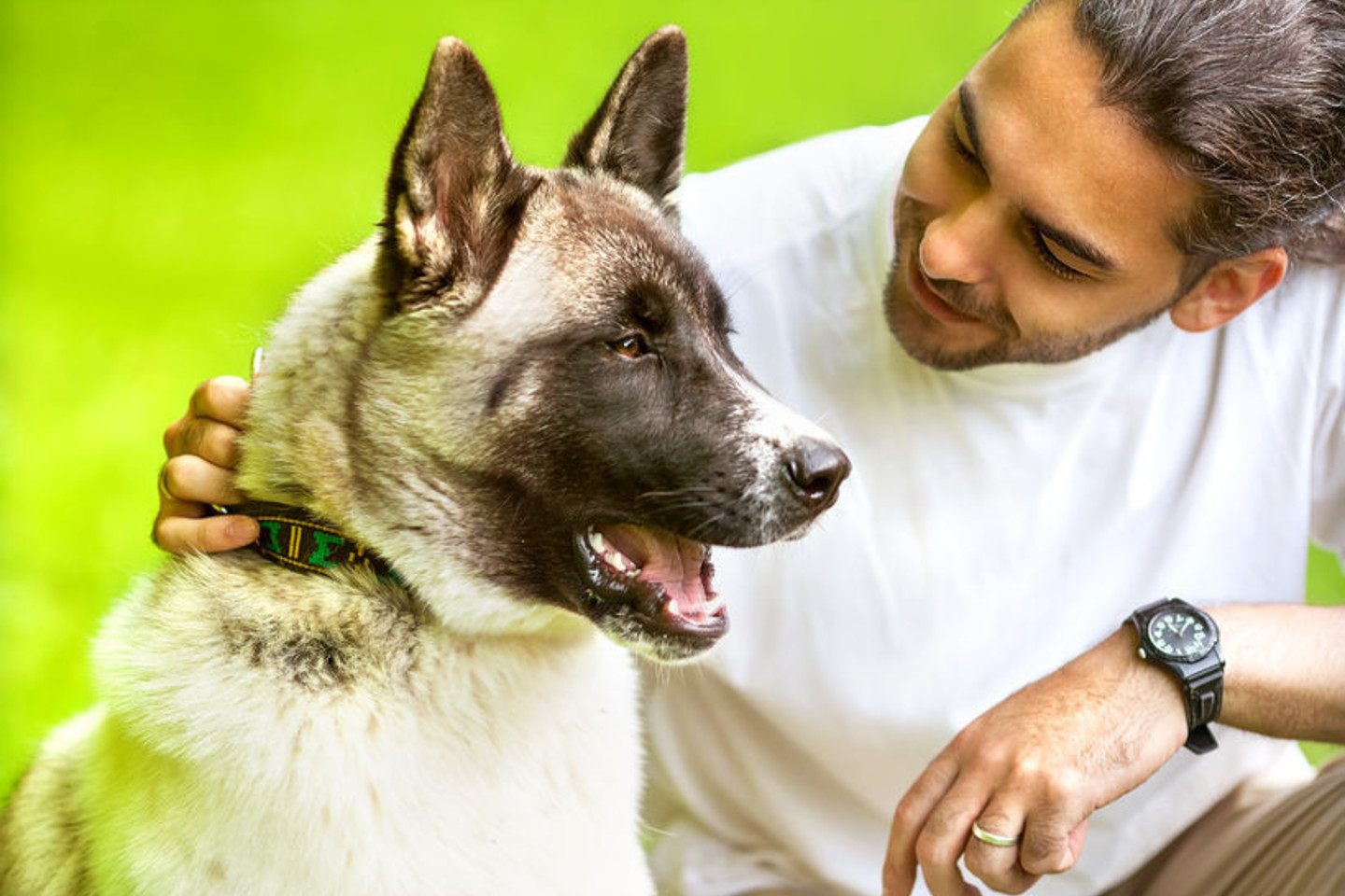 Kai nepažįstamam šuniui žiūrite tiesiai į akis, nemirksėdami, gyvūnas greičiausiai tai priima, kaip bandymą dominuoti ar net agresiją.<br>123rf nuotr.