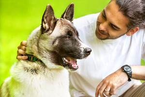 Žmonių elgesys, kurio šunys negali pakęsti