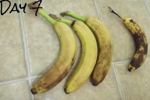 Eksperimentas: ar šaldytuve laikomi bananai ilgiau liks švieži?