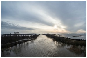 Žvejo džiaugsmas: nufotografavo žūklės Žemaitijoje laimikį