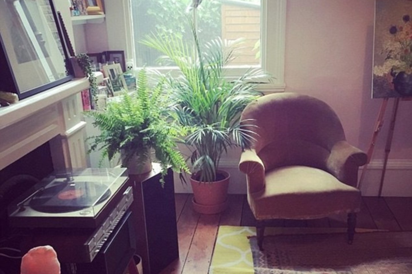 P.Geldof vienoje nuotraukų užfiksavo savo jaukų menišką būstą.<br>P.Geldof „Istagram“ nuotr.