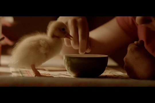 Naujas filmas moko pasitikėti vaikais ir suteikti jiems laisvę